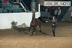 usn_05_14213 proof
