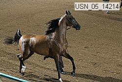 usn_05_14214 proof