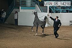 usn_05_14216 proof