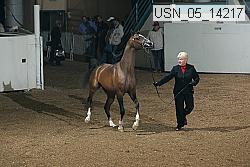 usn_05_14217 proof