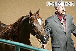 usn_05_14219 proof