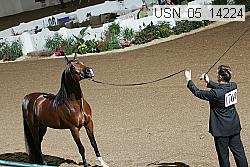 usn_05_14224 proof