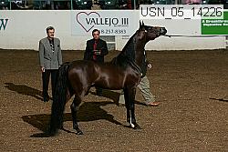usn_05_14226 proof