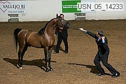 usn_05_14233 proof