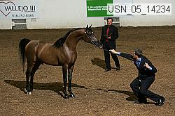 usn_05_14234 proof