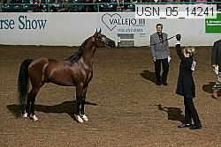 usn_05_14241 proof
