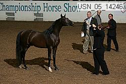 usn_05_14246 proof