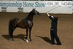 usn_05_14248 proof