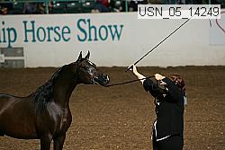 usn_05_14249 proof