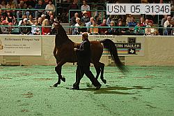 usn_05_31346 proof
