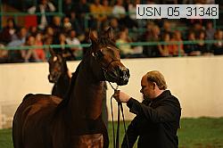 usn_05_31348 proof