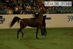 usn_05_31349 proof