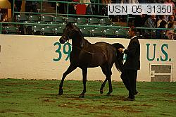 usn_05_31350 proof