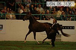 usn_05_31351 proof