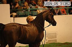 usn_05_31352 proof