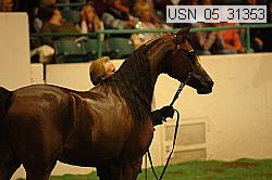 usn_05_31353 proof