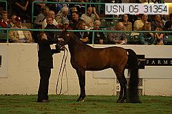 usn_05_31354 proof