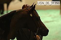 usn_05_31356 proof