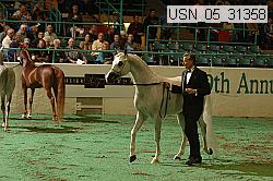 usn_05_31358 proof