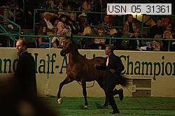 usn_05_31361 proof
