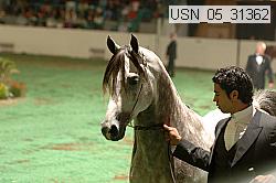 usn_05_31362 proof