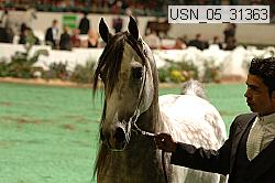 usn_05_31363 proof