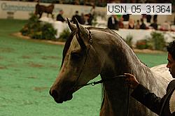 usn_05_31364 proof