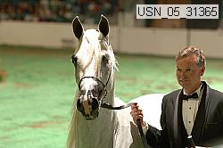 usn_05_31365 proof