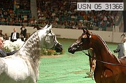 usn_05_31366 proof