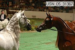 usn_05_31367 proof