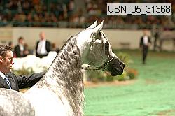 usn_05_31368 proof
