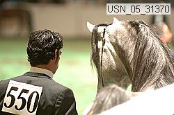 usn_05_31370 proof
