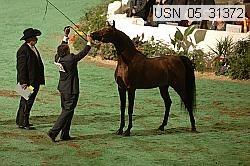 usn_05_31372 proof