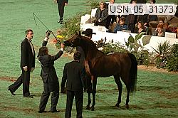 usn_05_31373 proof