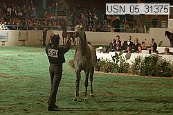 usn_05_31375 proof