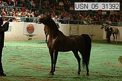 usn_05_31392 proof
