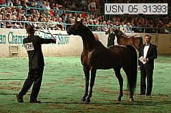 usn_05_31393 proof
