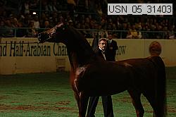 usn_05_31403 proof