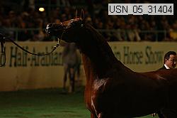 usn_05_31404 proof