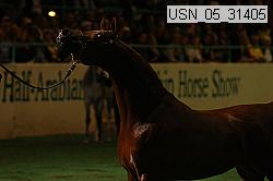 usn_05_31405 proof