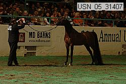usn_05_31407 proof