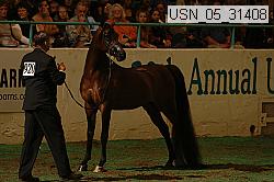 usn_05_31408 proof