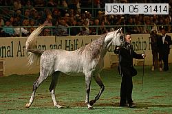 usn_05_31414 proof
