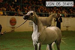 usn_05_31415 proof