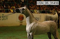 usn_05_31416 proof