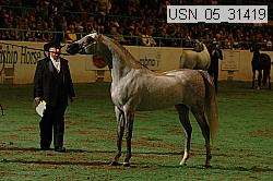 usn_05_31419 proof