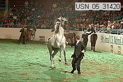 usn_05_31420 proof