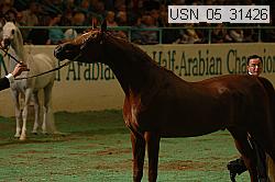 usn_05_31426 proof