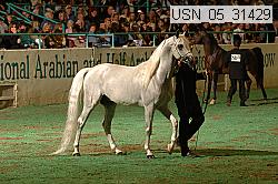 usn_05_31429 proof