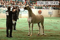 usn_05_31435 proof